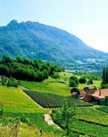 domaine pellerin viticulteur rcoltant crateur des vins du bugey