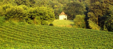 vins du bugey - domaine pellerin