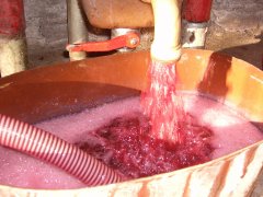 domaine pellerin viticulteur rcoltant crateur des vins du bugey