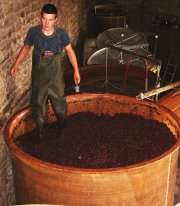 domaine pellerin viticulteur rcoltant crateur des vins du bugey