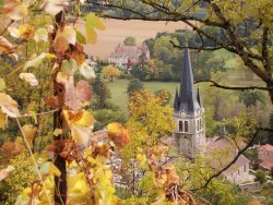 domaine pellerin viticulteur rcoltant crateur des vins du bugey