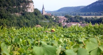 domaine pellerin viticulteur récoltant créateur des vins du bugey